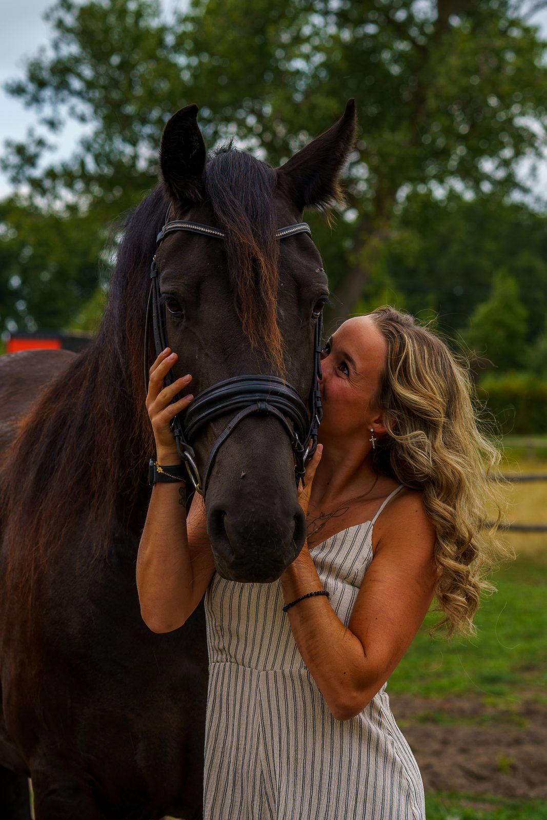 Portret met paard